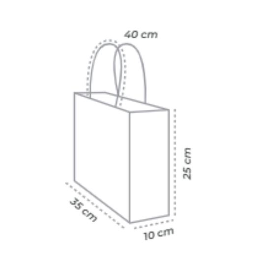 ECO-BOLSA ZAPATERA 25 x 35 +10 cm